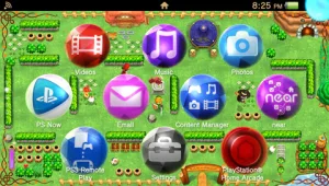 Legend of Zelda Kakariko Village Special Home