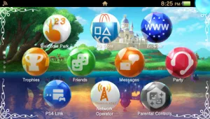 Legend of Zelda Kakariko Village Special Home